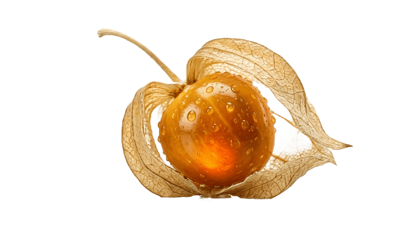 Aguaymanto