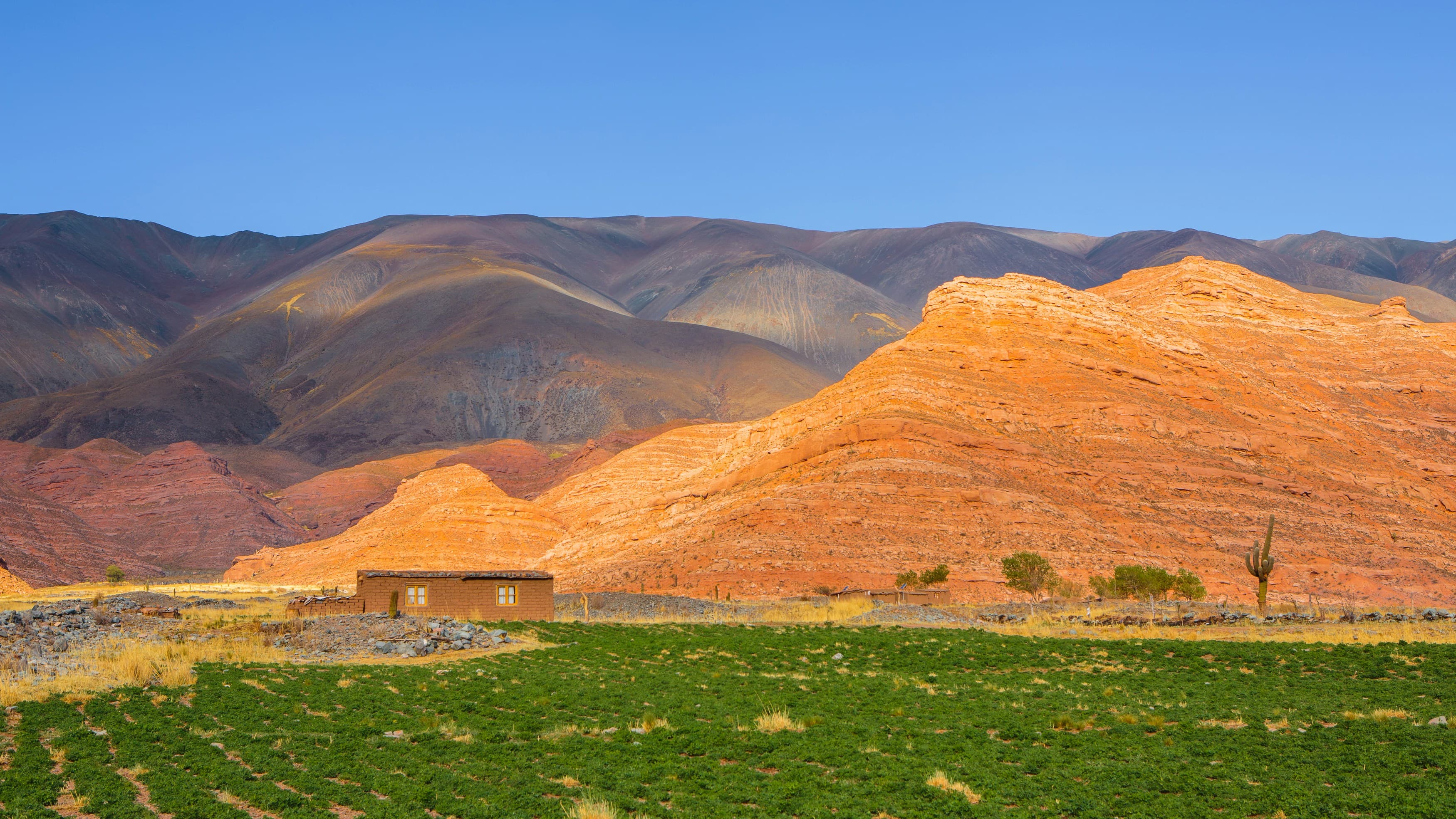 Andean harvest landscape